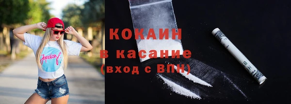 прущие грибы Балабаново