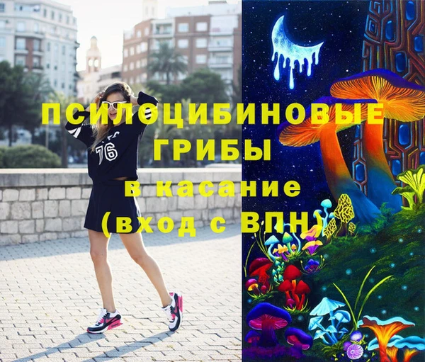 прущие грибы Балабаново