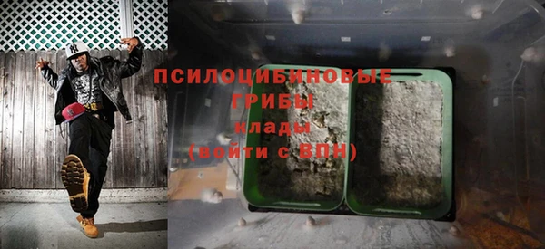 амфетамин Белокуриха