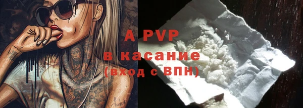 гашик Беломорск