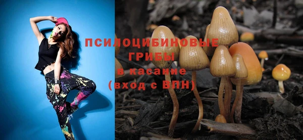 прущие грибы Балабаново