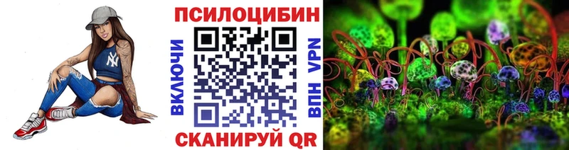 купить наркотики цена  Хилок  Галлюциногенные грибы мицелий 